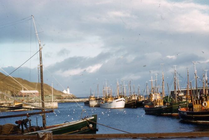 scrabster harbour