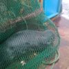 Seal net for sale