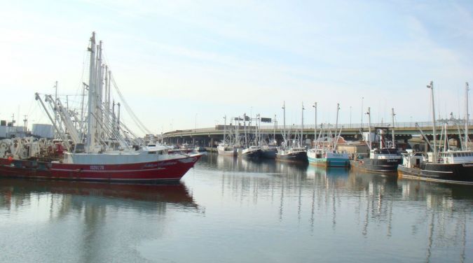 harbour at newport news