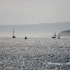 A  silhouette view towards millport