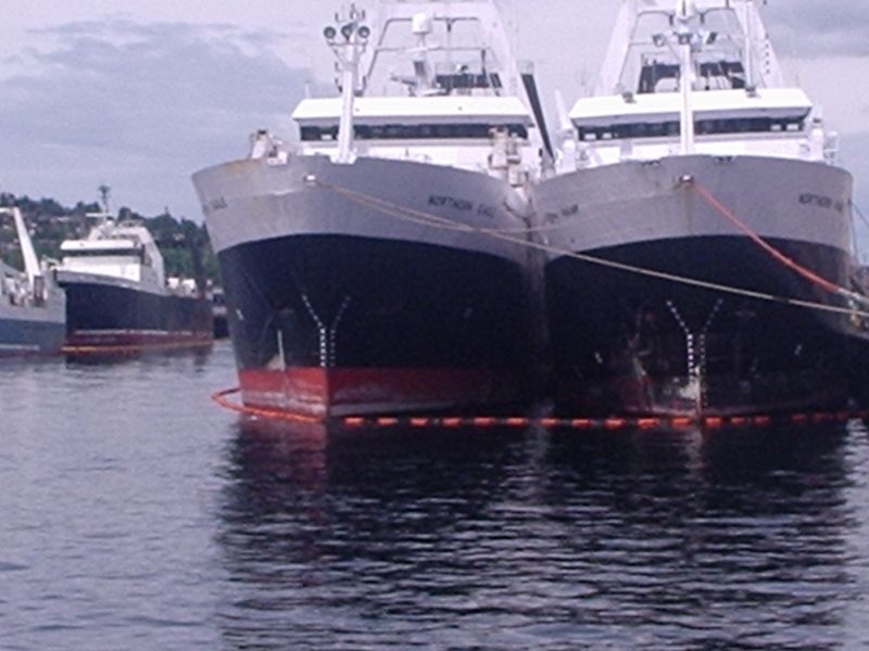Hake Trawlers in Seattle