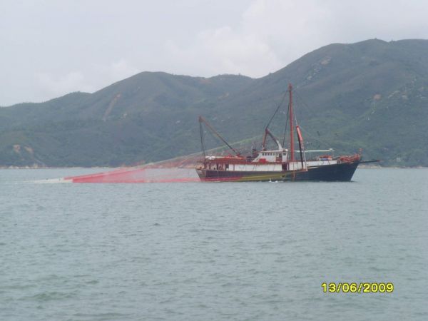 Hong Kong Trawler