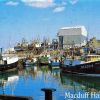 Macduff harbour