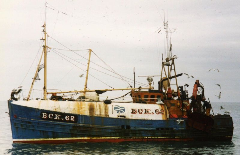 Seagull  BCK 62