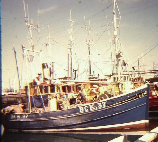 Scotia  BCK 37