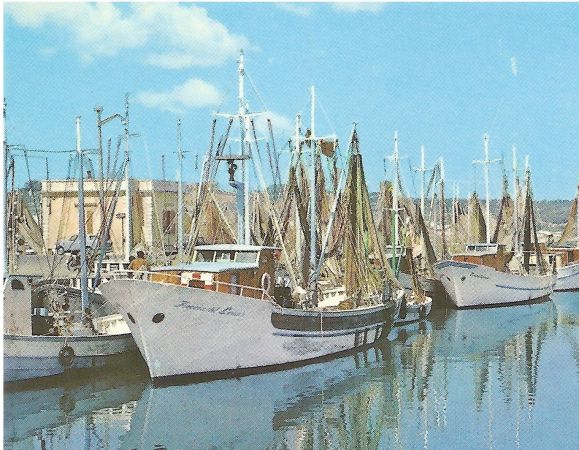 Harbour of Fano